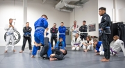 LCBJJ-adults-1